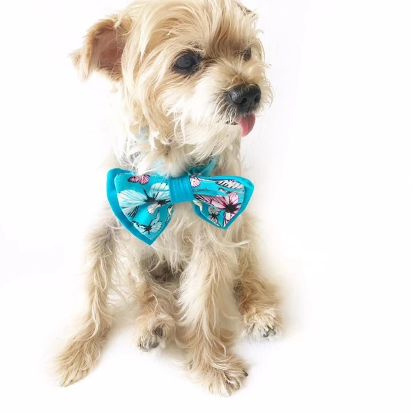 KEDİ VE KÖPEKLER İÇİN PAPYON MAVİ KELEBEKLİ by Kemique - 3