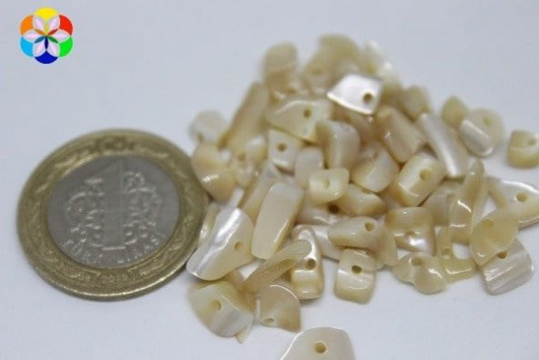 Delikli Sedef Taşı Karamel Mini Boy 50 adet