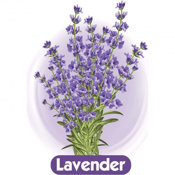 LadyFit Pamuklu Super Normal 24Lü - 3