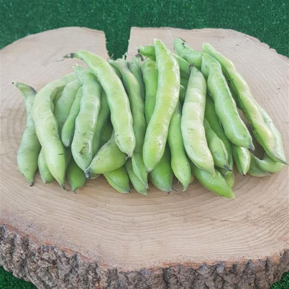 KABUKLU İÇ BAKLA 1 KG - 1