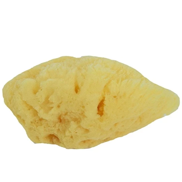 Doğal Deniz Süngeri 10 gr Paket - 2