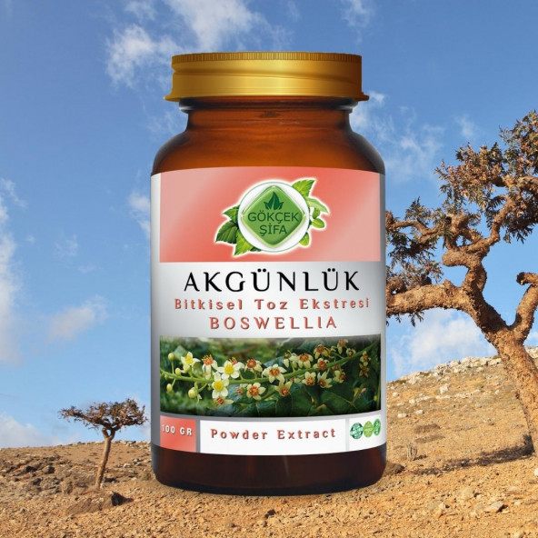 Akgünlük Toz Ekstresi (Boswellia Serrata)100 gr. Cam Kavanoz - 3