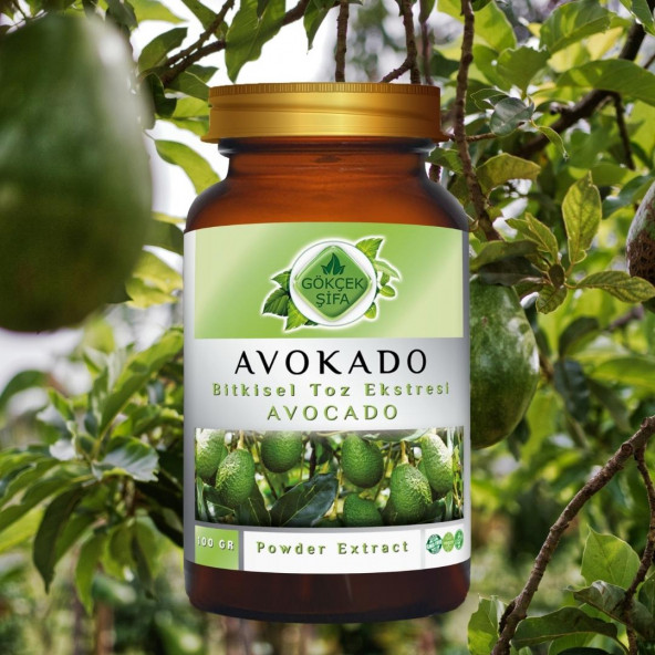 Avokado Toz Ekstresi (Persea americana)100 gr. Cam Kavanoz - 4