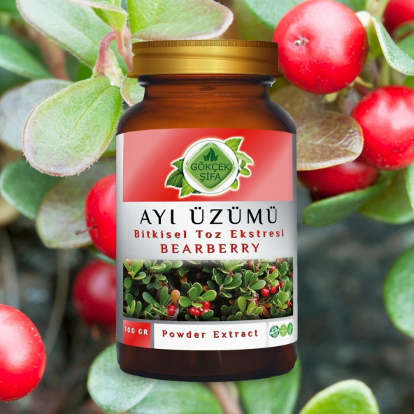 Ayı Üzümü Toz Ekstresi (Arctostaphylos Uva-Ursi)100 gr. Cam Kavanoz - 7