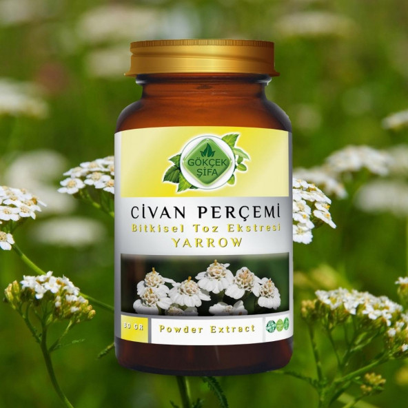 Civan Perçemi Toz Ekstresi (Achillea Millefolium L.)80 gr. Cam Kavanoz - 2