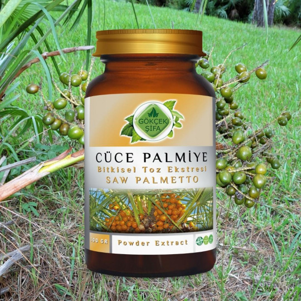 Cüce Palmiye Toz Ekstresi (Serenoa repens)100 gr. Cam Kavanoz - 2