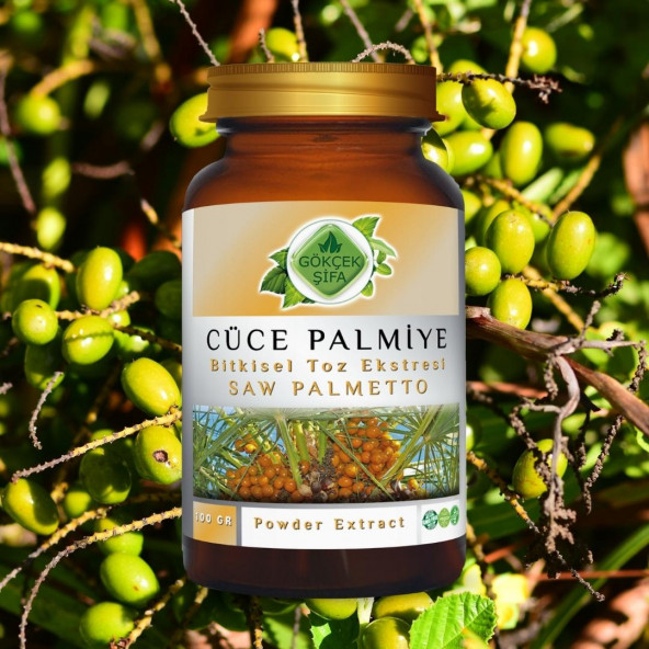 Cüce Palmiye Toz Ekstresi (Serenoa repens)100 gr. Cam Kavanoz - 5