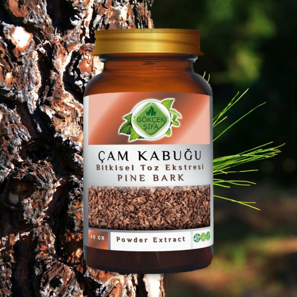 Çam Kabuğu Toz Ekstresi (Pinus Pinaster Aiton) 40 gr. Cam Kavanoz - 5
