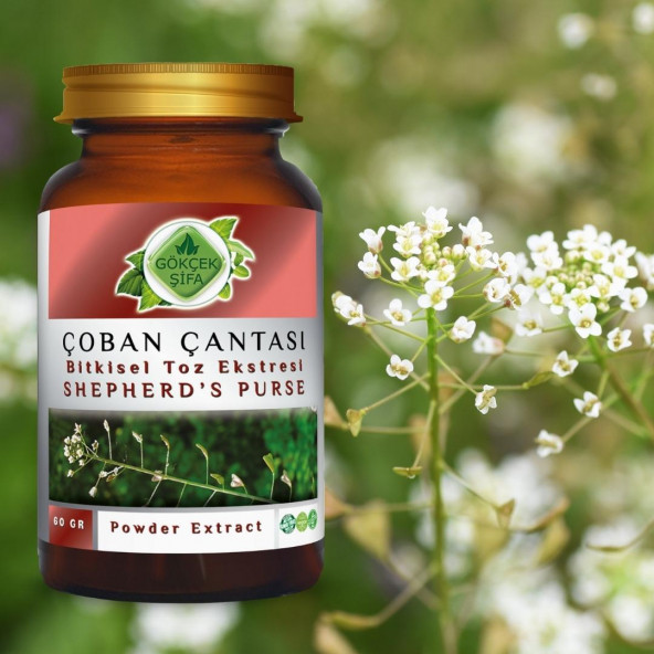 Çoban Çantası Toz Ekstresi (Capsella bursa-pastoris) 60 gr. Cam Kavanoz - 6