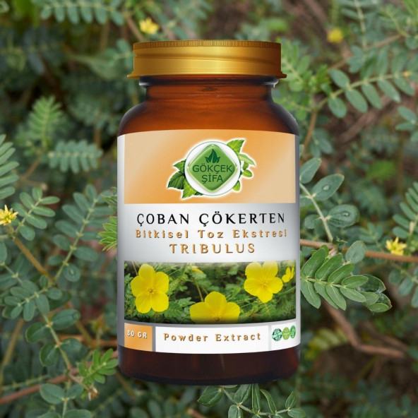 Çoban Çökerten Toz Ekstresi (Tribulus terrestris) 80 gr. Cam Kavanoz - 2