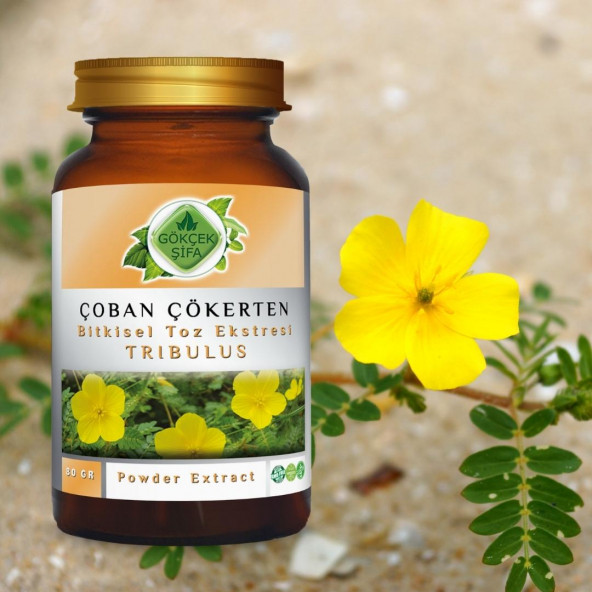 Çoban Çökerten Toz Ekstresi (Tribulus terrestris) 80 gr. Cam Kavanoz - 8