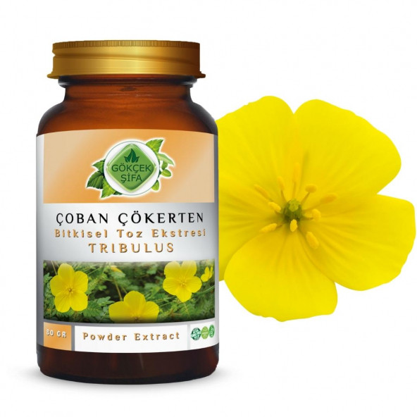 Çoban Çökerten Toz Ekstresi (Tribulus terrestris)80 gr. Cam Kavanoz - 7