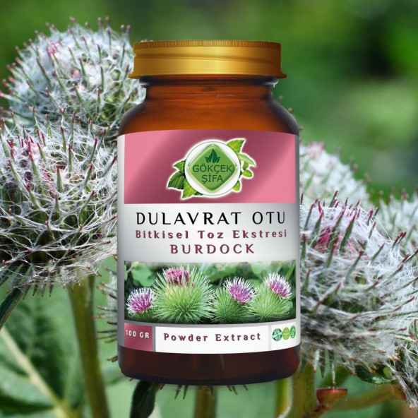 Dulavrat Otu Toz Ekstresi (Arctium Lappa)100 gr. Cam Kavanoz - 3