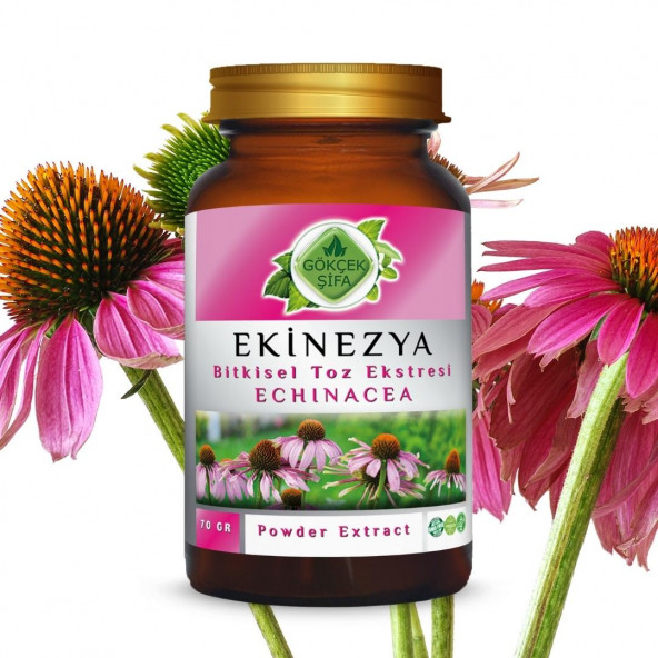 Ekinezya Toz Ekstresi (Echinacea Purpurea)70 gr. Cam Kavanoz - 2