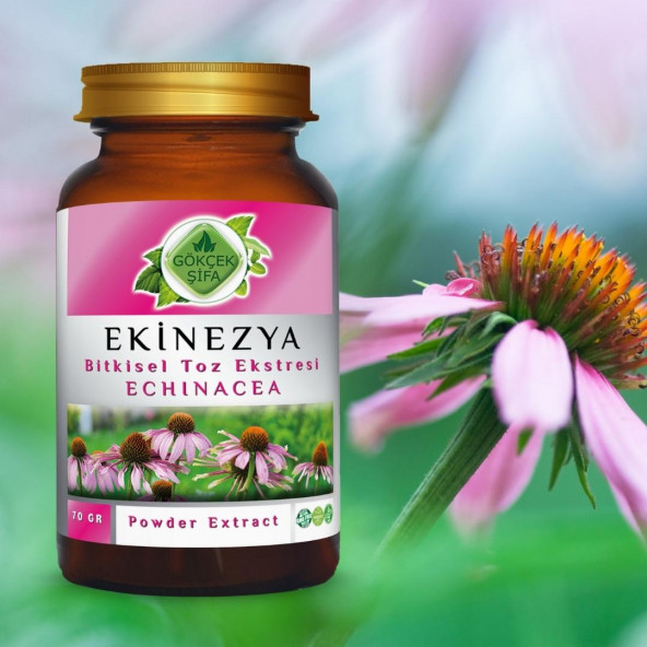 Ekinezya Toz Ekstresi (Echinacea Purpurea)70 gr. Cam Kavanoz - 4