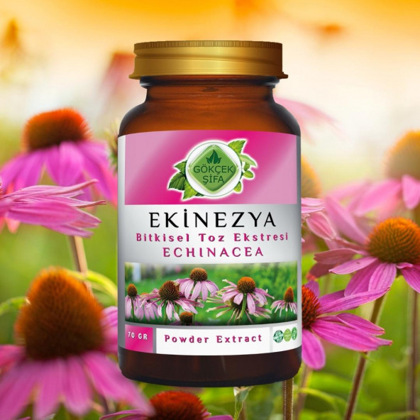 Ekinezya Toz Ekstresi (Echinacea Purpurea)70 gr. Cam Kavanoz - 8