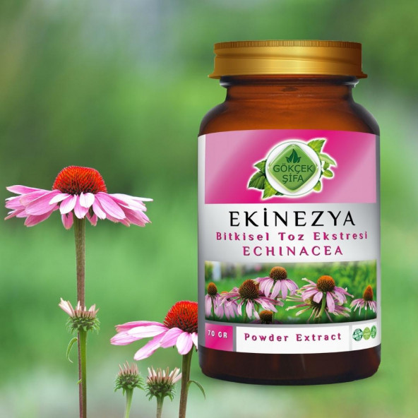 Ekinezya Toz Ekstresi (Echinacea Purpurea)70 gr. Cam Kavanoz - 9