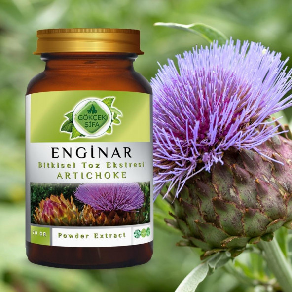 Enginar Toz Ekstresi (Cynara scolymus)70 gr. Cam Kavanoz - 3