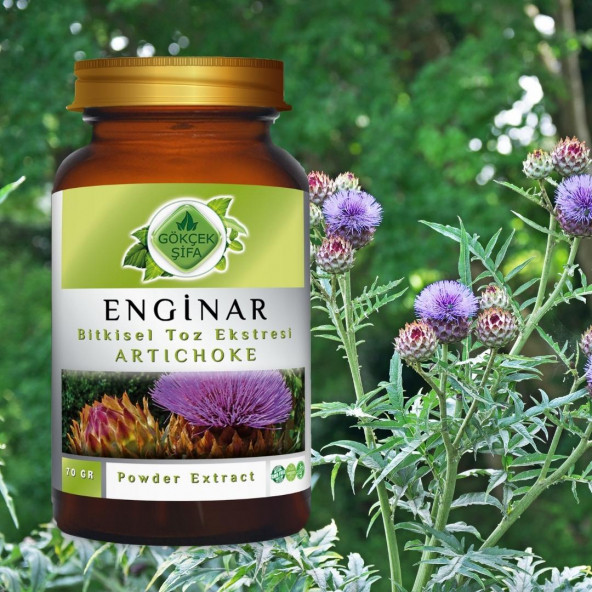 Enginar Toz Ekstresi (Cynara scolymus)70 gr. Cam Kavanoz - 6