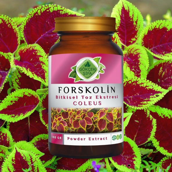 Forskolin Toz Ekstresi Coleus forskohlii100 gr. Cam Kavanoz - 2