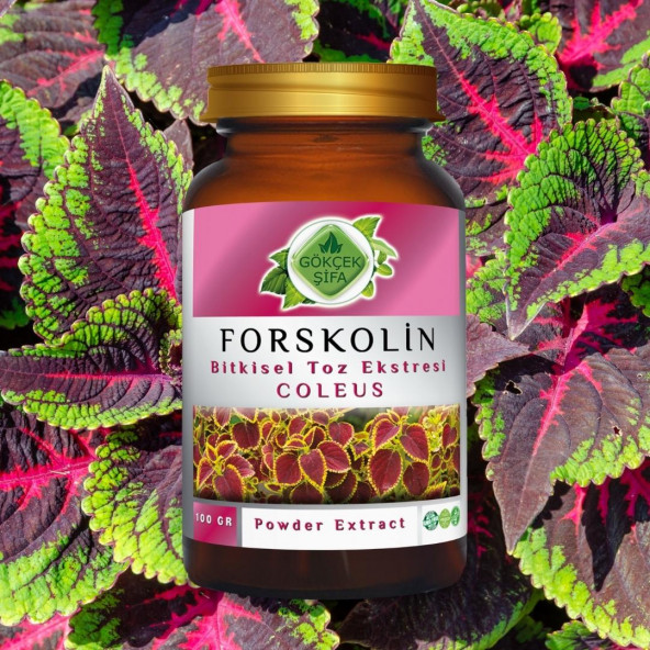 Forskolin Toz Ekstresi Coleus forskohlii100 gr. Cam Kavanoz - 3