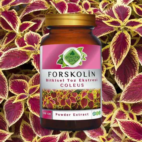 Forskolin Toz Ekstresi Coleus forskohlii100 gr. Cam Kavanoz - 6