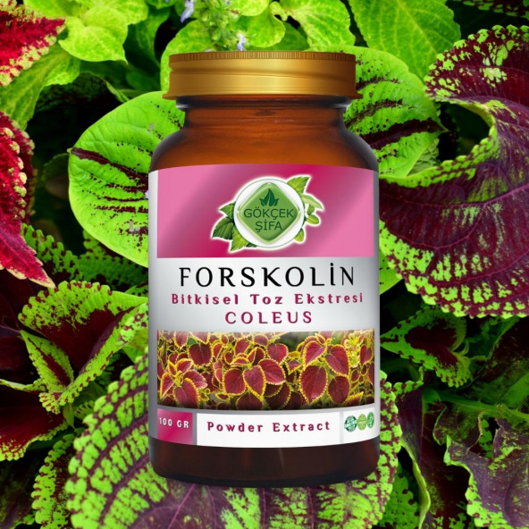 Forskolin Toz Ekstresi Coleus forskohlii100 gr. Cam Kavanoz - 7