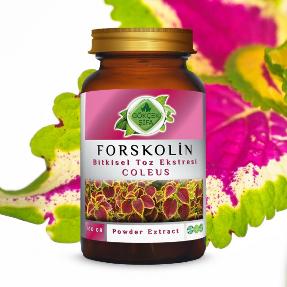 Forskolin Toz Ekstresi Coleus forskohlii100 gr. Cam Kavanoz - 9