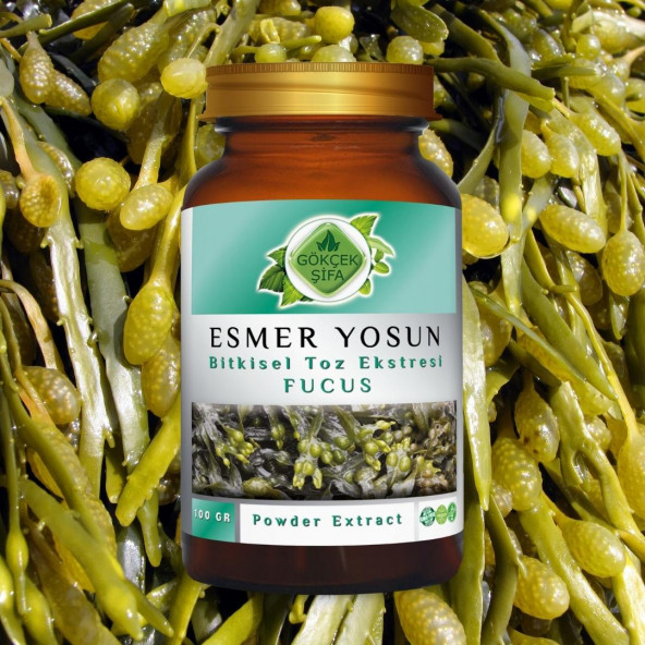 Fucus Toz Ekstresi 100 gr. Cam Kavanoz - 2