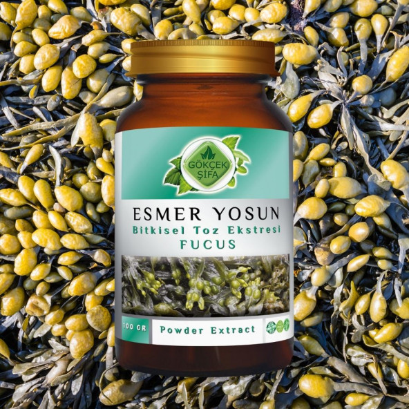 Fucus Toz Ekstresi 100 gr. Cam Kavanoz - 5