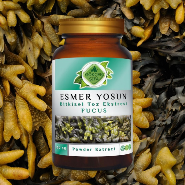 Fucus Toz Ekstresi 100 gr. Cam Kavanoz - 6