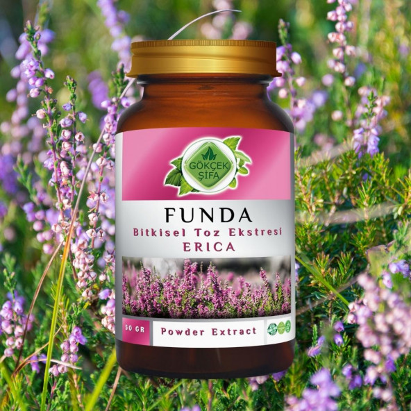 Funda Toz Ekstresi (Herba Ericae)50 gr. Cam Kavanoz - 3