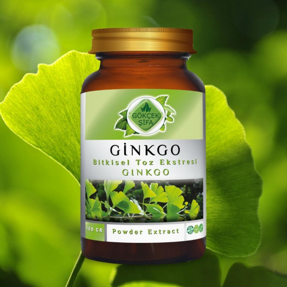 Ginkgo Toz Ekstresi (Ginkgo Biloba)100 gr. Cam Kavanoz - 3