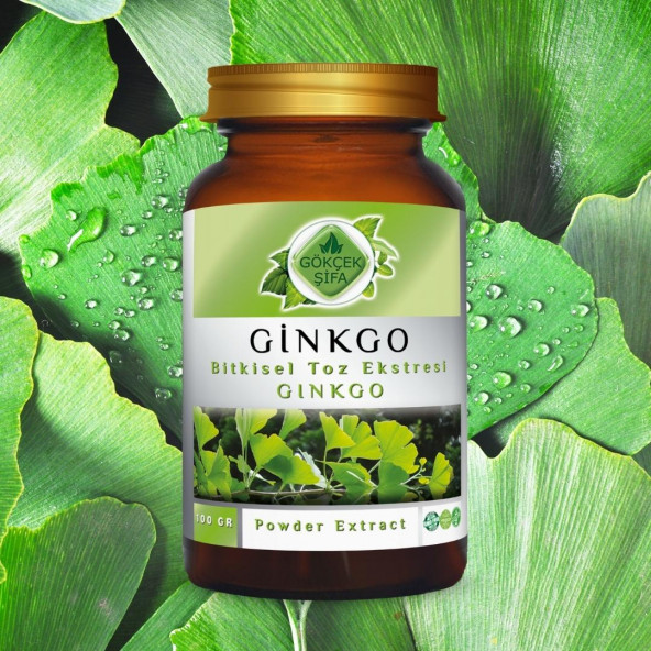 Ginkgo Toz Ekstresi (Ginkgo Biloba)100 gr. Cam Kavanoz - 6