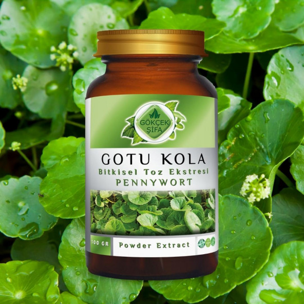 Gotu Kola Toz Ekstresi (Centella asiatica)100 gr. Cam Kavanoz - 2