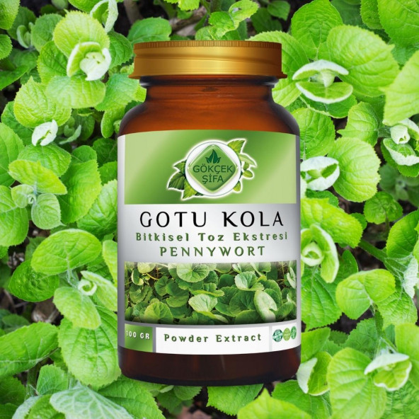 Gotu Kola Toz Ekstresi (Centella asiatica)100 gr. Cam Kavanoz - 3