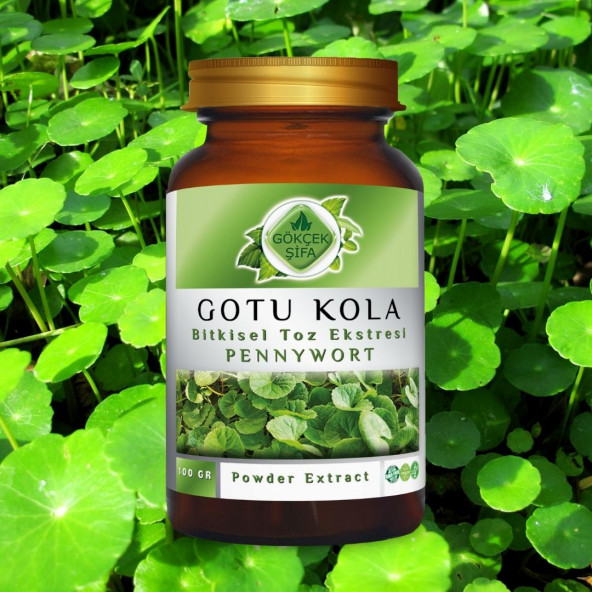 Gotu Kola Toz Ekstresi (Centella asiatica)100 gr. Cam Kavanoz - 6