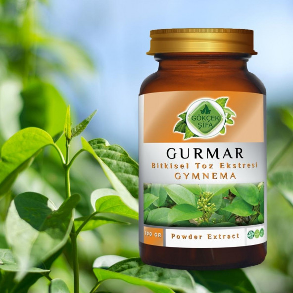 Gurmar Toz Ekstresi (Gymnema sylvestre)100 gr. Cam Kavanoz - 2