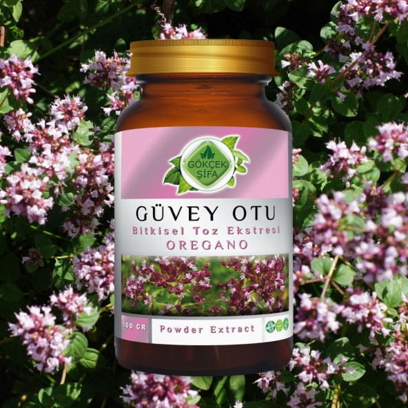 Güvey Otu (Oregano) Toz Ekstresi 100 gr Cam Kavanoz - 4