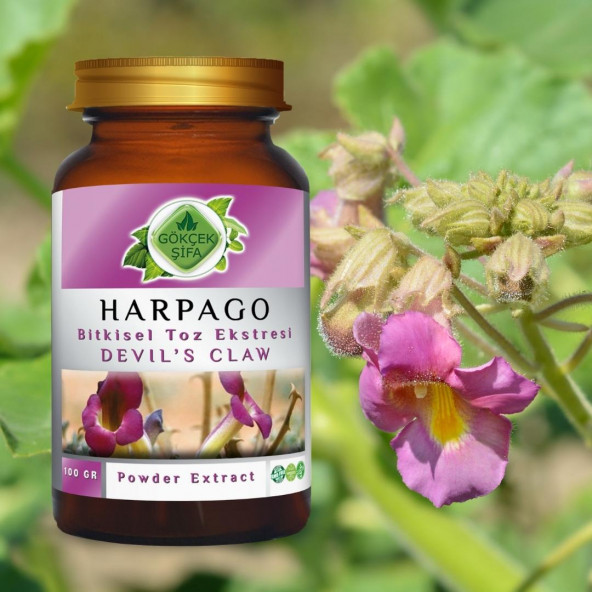 Harpago Toz Ekstresi 100 gr. Cam Kavanoz - 2