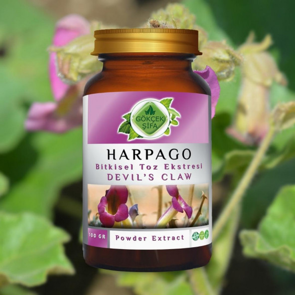 Harpago Toz Ekstresi 100 gr. Cam Kavanoz - 3