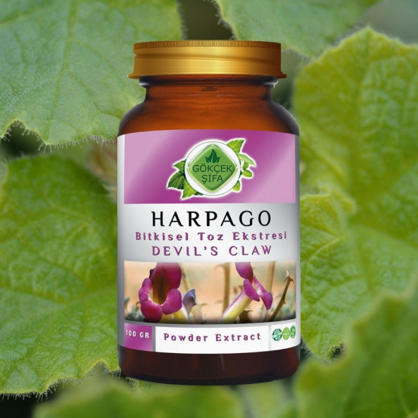 Harpago Toz Ekstresi 100 gr. Cam Kavanoz - 4
