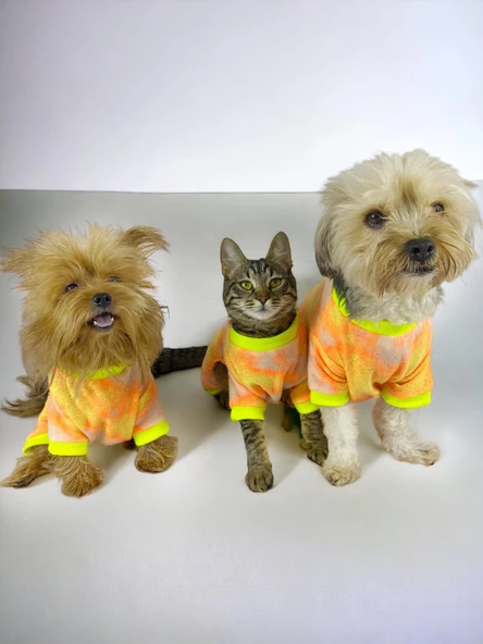 Tesla Penye Tulum Duo Kedi Tulumu Kedi Elbisesi - 6
