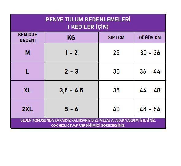 Tesla Penye Tulum Duo Köpek Tulumu Köpek Elbisesi - 4