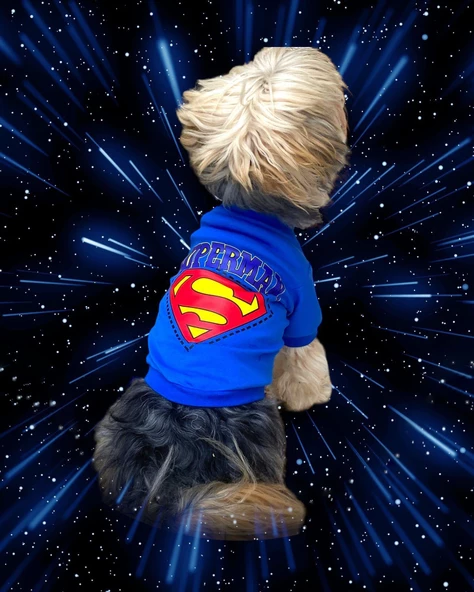 Superman Köpek Tişört Köpek Kıyafeti - 7
