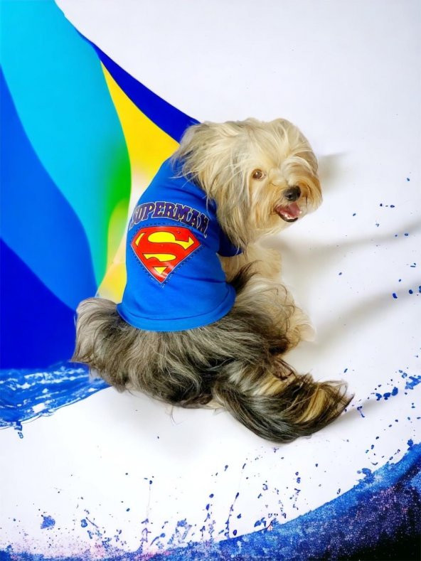 Superman Köpek Tişört Köpek Kıyafeti