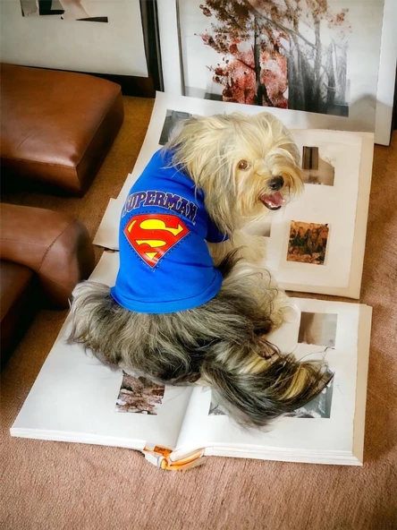 Superman Köpek Tişört Köpek Kıyafeti - 8