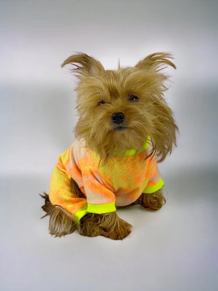 Tesla Penye Tulum Duo Köpek Tulumu Köpek Elbisesi - 3