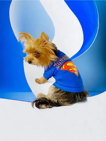 Superman Köpek Tişört Köpek Kıyafeti - 2