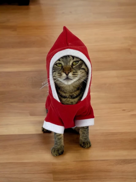 Kırmızı Sevimli Fare Kapşonlu Duo Kedi Tulumu - 3